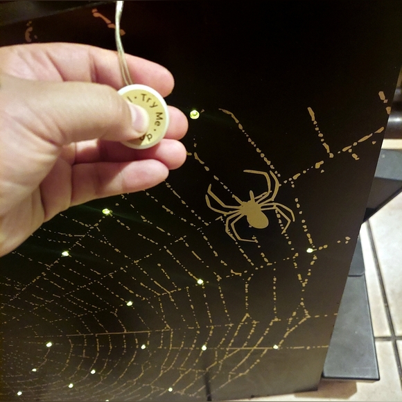 Joann Place & Time Dark & Deco Collection Light Up Spider Web Wall Decor Frame - Picture 7 of 9